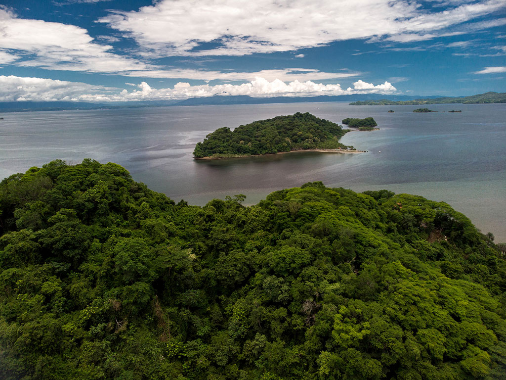 Terratica - Bahía Gigante