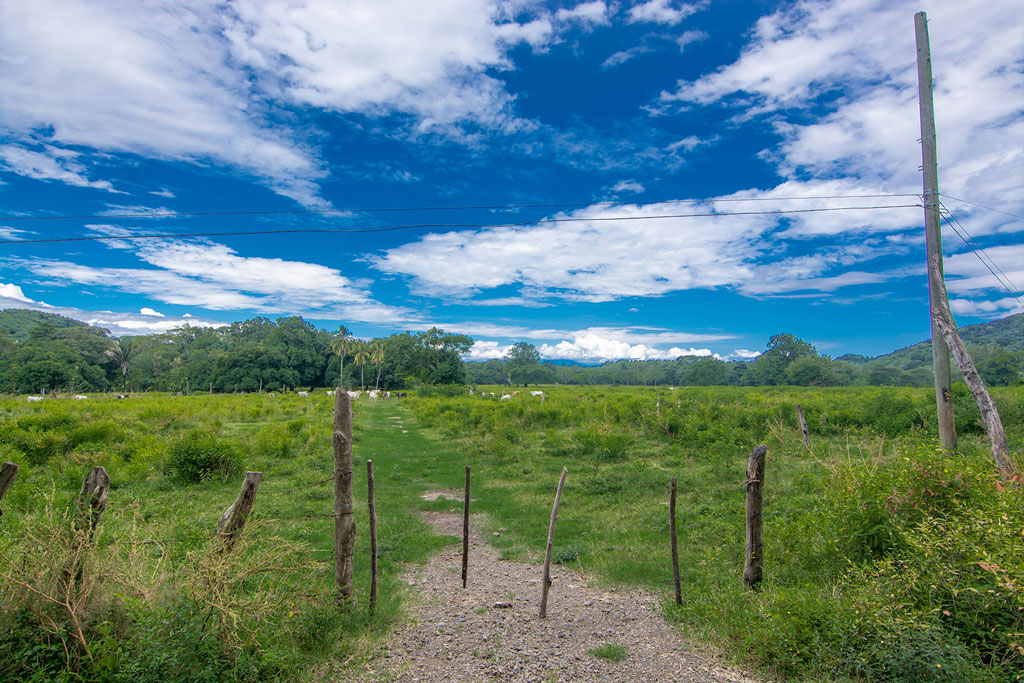 Terratica - Bahía Gigante